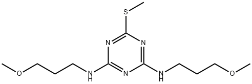 MPMT Struktur