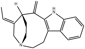 pericine Struktur