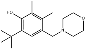 6-tert-butyl-4-(morpholinomethyl)-2,3-xylenol Struktur