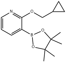 2-CYCLOPROPYLMETHOXY-3-(4,4,5,5-TETRAMETHYL-[1,3,2]DIOXABOROLAN-2-YL)-PYRIDINE price.