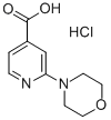 2-MORPHOLIN-4-YL-ISONICOTINIC ACID HYDROCHLORIDE Struktur