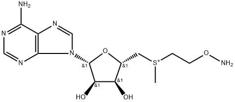 S-(5'-deoxyadenosyl-5')-S-methylthioethylhydroxylamine Struktur