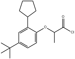 2-[2-cyclopentyl-4-(1,1-dimethylethyl)phenoxy]propionyl chloride Struktur