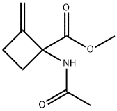 Cyclobutanecarboxylic  acid,  1-(acetylamino)-2-methylene-,  methyl  ester Struktur