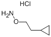 2-CYCLOPROPYL ETHOXYAMINE HYDROCHLORIDE Struktur