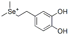 (2 (3,4-Dihydroxyphenyl)ethyl)dimethylselenonium Struktur