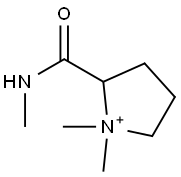 Pyrrolidinium,  1,1-dimethyl-2-[(methylamino)carbonyl]- Struktur