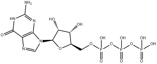 guanosine 5'-(tetrahydrogen triphosphate)