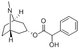 rac-(R*)-α-ヒドロキシベンゼン酢酸(1R,5S)-トロパン-3α-イル price.