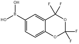 2,2,4,4-Tetrafluoro-4H-benzo[1,3]dioxine-6- Struktur