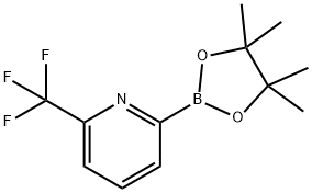 6-(TRIFLUOROMETHYL)PYRIDINE-2-BORONIC ACID PINACOL ESTER Struktur