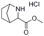 Methyl 2-azabicyclo[2.2.1]heptane-3-carboxylate hydrochloride Struktur