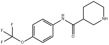 PIPERIDINE-3-CARBOXYLIC ACID (4-TRIFLUOROMETHOXY-PHENYL)-AMIDE Struktur