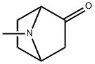 7-Methyl-7-Azabicyclo[2.2.1]heptan-2-one Struktur