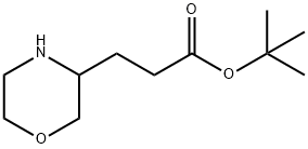 TERT-BUTYL 3-MORPHOLIN-3-YL-PROPIONATE Struktur