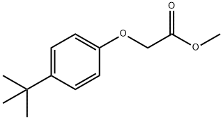 methyl 2-(4-tert-butylphenoxy)acetate Struktur