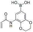 Boronic  acid,  [2,3-dihydro-8-[(1-oxo-2-propenyl)amino]-1,4-benzodioxin-6-yl]-  (9CI) Struktur