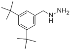 (3,5-DI-TERT-BUTYL-BENZYL)-HYDRAZINE Struktur