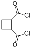 CYCLOBUTANE-1,2-DICARBONYL DICHLORIDE Struktur