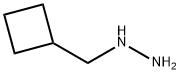 1-(cyclobutylmethyl)hydrazine Struktur