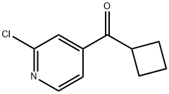 (2-CHLORO-PYRIDIN-4-YL)-CYCLOBUTYL-METHANONE Struktur