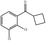 CYCLOBUTYL 2,3-DICHLOROPHENYL KETONE Struktur