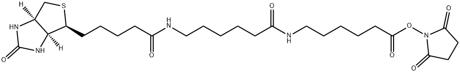 BIOTIN-XX-NHS Struktur