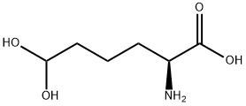 Norleucine,  6,6-dihydroxy- Struktur