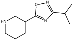 3-[3-(1-methylethyl)-1,2,4-oxadiazol-5-yl]piperidine price.