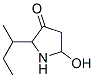 3-Pyrrolidinone,  5-hydroxy-2-(1-methylpropyl)- Struktur