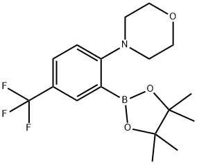 2-Morpholin-4-yl-5-(trifluoromethyl)benzeneboronic acid, pinacol ester Struktur