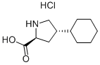 trans-4-Cyclohexyl-L-proline hydrochloride