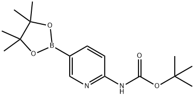 2-(tert-butoxycarbonylamino)pyridine-5-boronic acid, pinacol ester