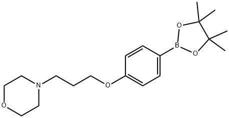 4-(3-(4-(4,4,5,5-tetramethyl-1,3,2-dioxaborolan-2-yl)phenoxy)propyl)morpholine Struktur