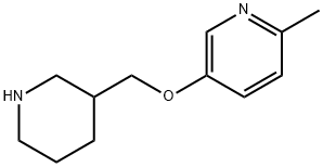 2-METHYL-5-(3-PIPERIDINYLMETHOXY)PYRIDINE Struktur