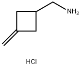 (3-Methylenecyclobutyl)methanamine Struktur