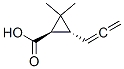 Cyclopropanecarboxylic acid, 2,2-dimethyl-3-(1,2-propadienyl)-, (1R-trans)- (9CI) Struktur