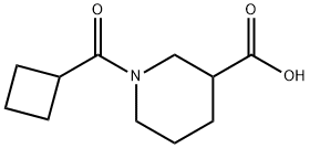 1-(CYCLOBUTYLCARBONYL)-3-PIPERIDINECARBOXYLIC ACID Struktur