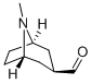 8-Azabicyclo[3.2.1]octane-3-carboxaldehyde, 8-methyl-, exo- (9CI) Struktur