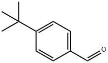 4-t-?????????