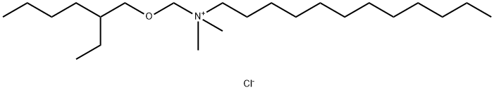 dodecyl[[(2-ethylhexyl)oxy]methyl]dimethylammonium chloride Struktur