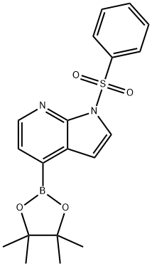 1H-Pyrrolo[2,3-b]pyridine, 1-(phenylsulfonyl)-4-(4,4,5,5-tetramethyl-1,3,2-dioxaborolan-2-yl)-|1-(苯磺酰基)-4-(4,4,5,5-四甲基-1,3,2-二氧硼烷-2-基)-1H-吡咯并[2,3-B]吡啶