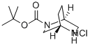 (1S,4S)-2-BOC-2,5-DIAZABICYCLO[2.2.2]OCTANE HYDROCHLORIDE Struktur