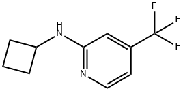 Cyclobutyl-(4-trifluoromethyl-pyridin-2-yl)-amine
 Struktur