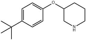 3-[4-(TERT-BUTYL)PHENOXY]PIPERIDINE Struktur