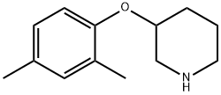 3-(2,4-DIMETHYLPHENOXY)PIPERIDINE Struktur