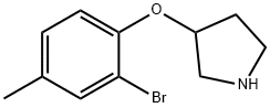 3-(2-BROMO-4-METHYLPHENOXY)PYRROLIDINE Struktur