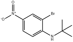 2-Bromo-N-t-butyl-4-nitroaniline Struktur