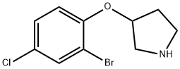 3-(2-Bromo-4-chloro-phenoxy)-pyrrolidine Struktur