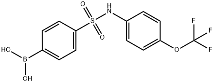 4-(N-(4-(Trifluoromethoxy)phenyl)sulfamoyl)phenylboronic acid Struktur